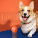 Bola para Pets Bola Divertida
