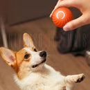 Bola para Pets Bola Divertida