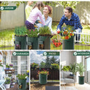 Sacos para plantações de legumes e frutas Garden Universo