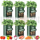 Sacos para plantações de legumes e frutas Garden Universo