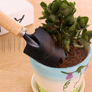 Kit Flowers Jardinagem Fácil