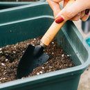 Kit Flowers Jardinagem Fácil